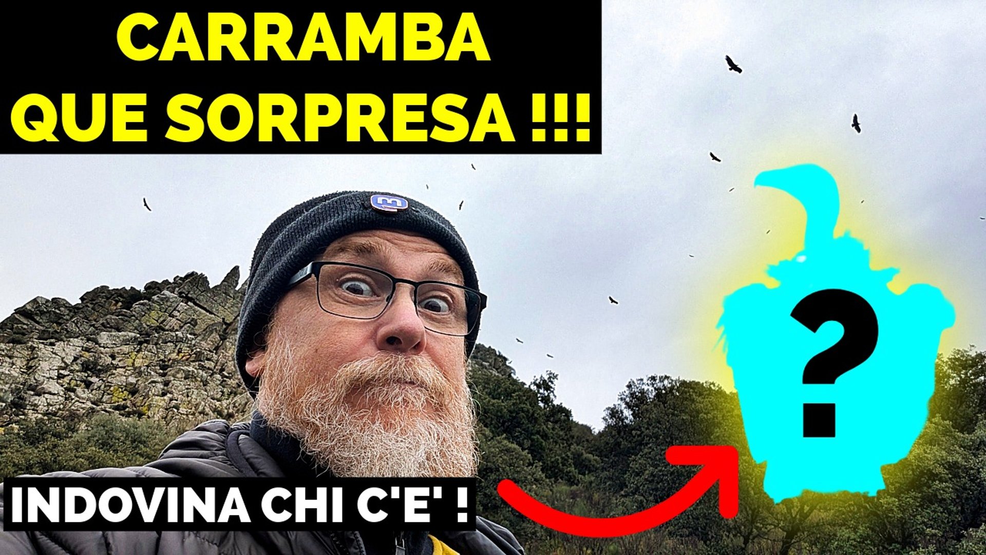 Avvoltoi e mini gita a Plasencia, borgo medievale dell'Estremadura: il viaggio più bagnato di sempre continua!